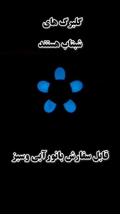 گل برگ هاشبتاب هستند