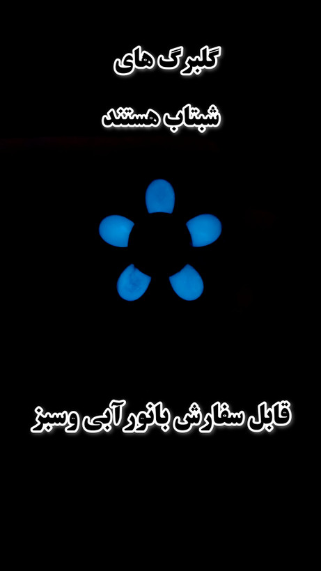 گل برگ هاشبتاب هستند